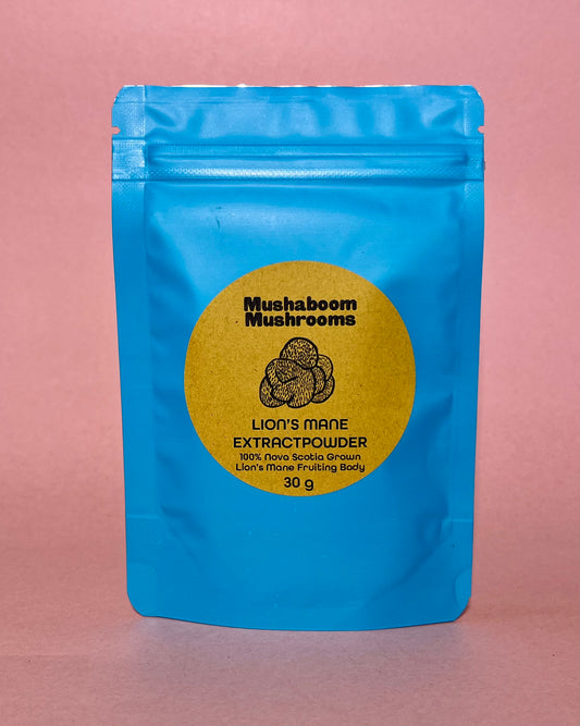 Lion's Mane Mushroom Extract Powder