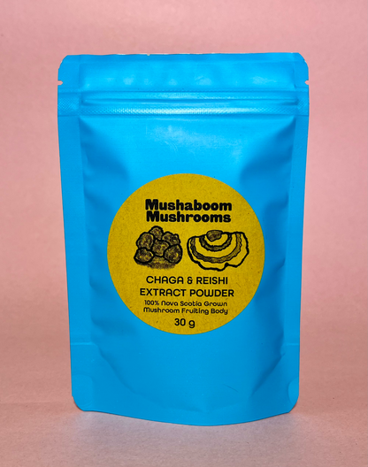 Chaga & Reishi Mushroom Extract Powder Blend